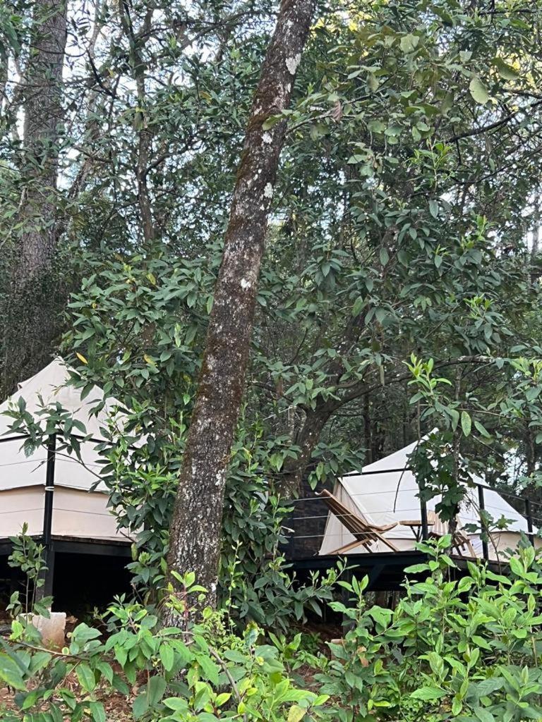 Hotel Oxu Solo Adultos Valle de Bravo Exterior photo
